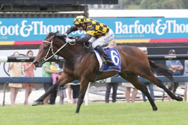 Stakes Races Beckon for Pretty To Sea