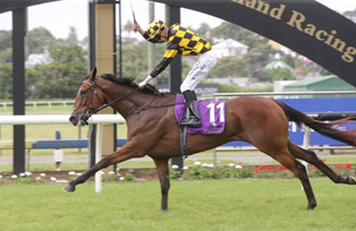 Prince Jabeel Wins Gr.3 City of Auckland Cup