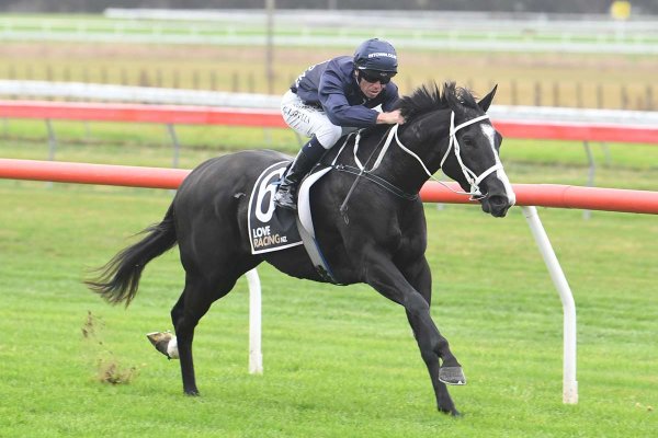 Well-bred filly runs rivals ragged