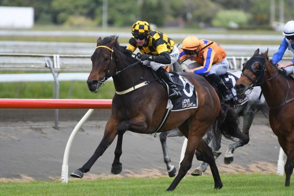 Magical four-timer at Pukekohe