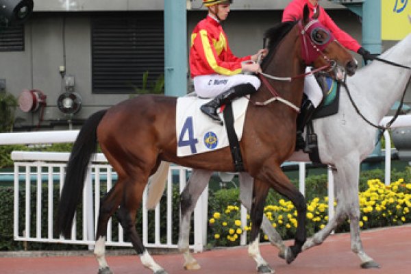 Above Continues his Winning Ways in HK