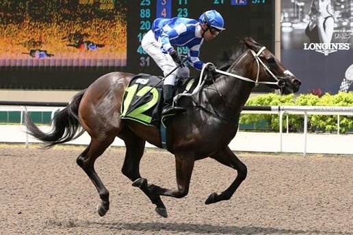Burgundy Filly Wins Again in Singapore
