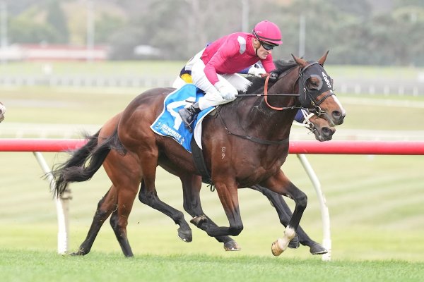 Talented colt makes perfect start to career