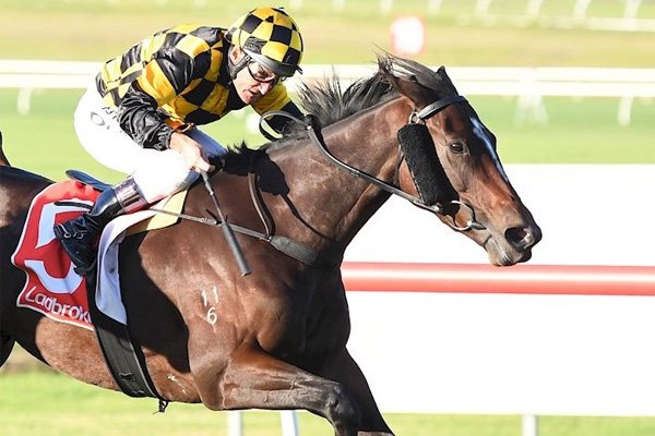 Well-bred filly delivers again