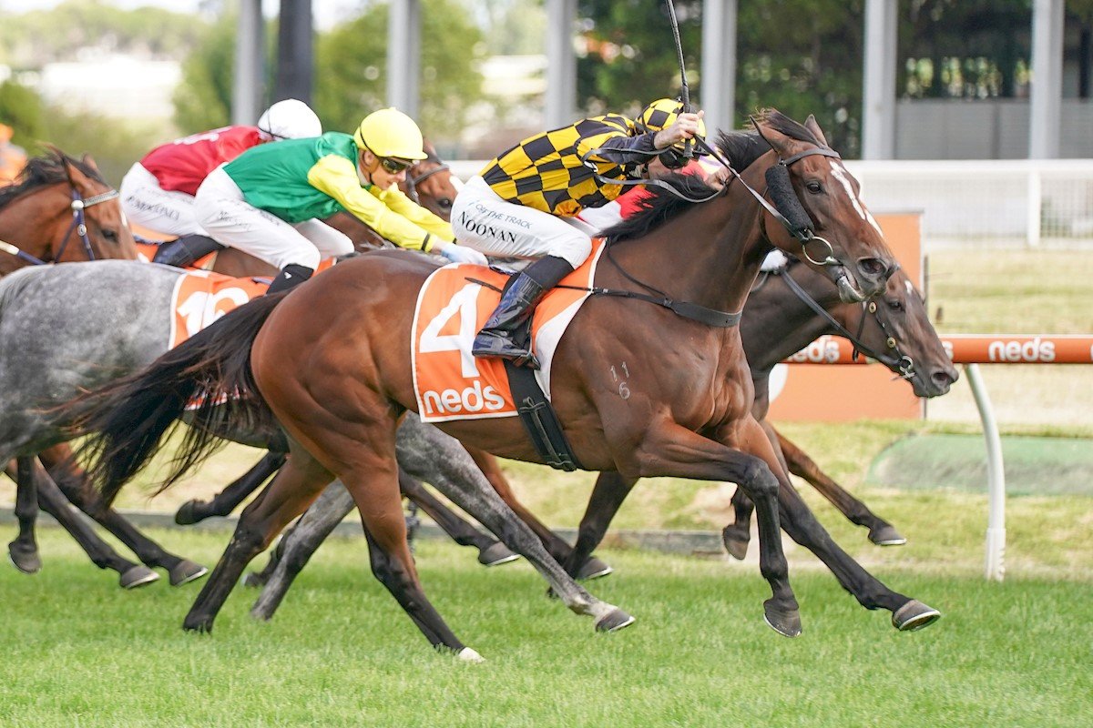 NZ Group 1 venture a possibility