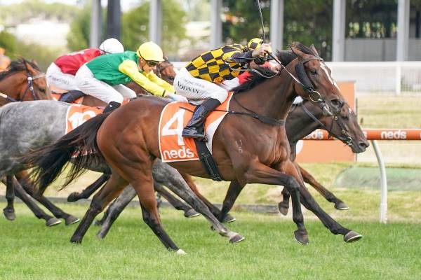 NZ Group 1 venture a possibility