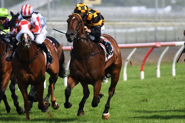 Hot mare bounces back in style