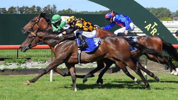 Group winner deserves another chance at Te Rapa