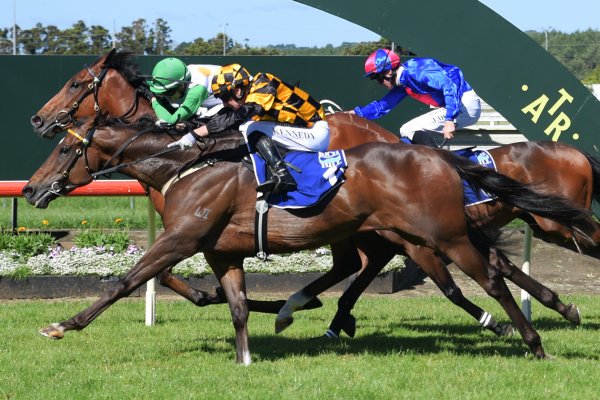 Group winner deserves another chance at Te Rapa