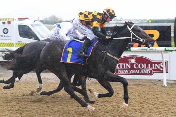 Trainer’s call proves on the money