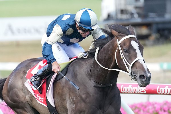 Homebred shows will to win