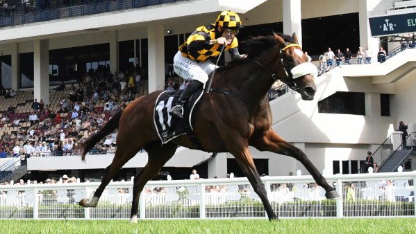 Hashizume bags a treble on New Zealand Derby Day