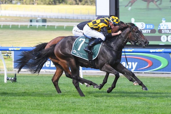 Stirring victory from well-bred filly