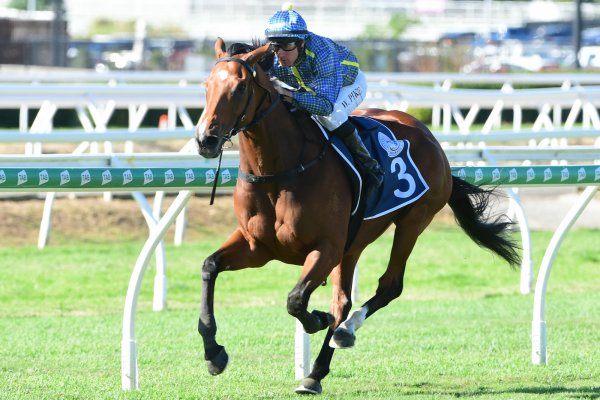 Banker cashes in on Tattersall's Cup