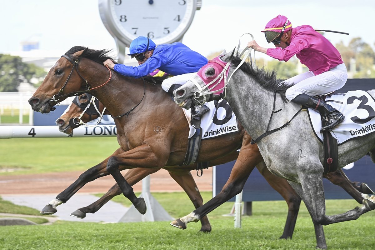 Four in a row as Marquess rules supreme at Rosehill