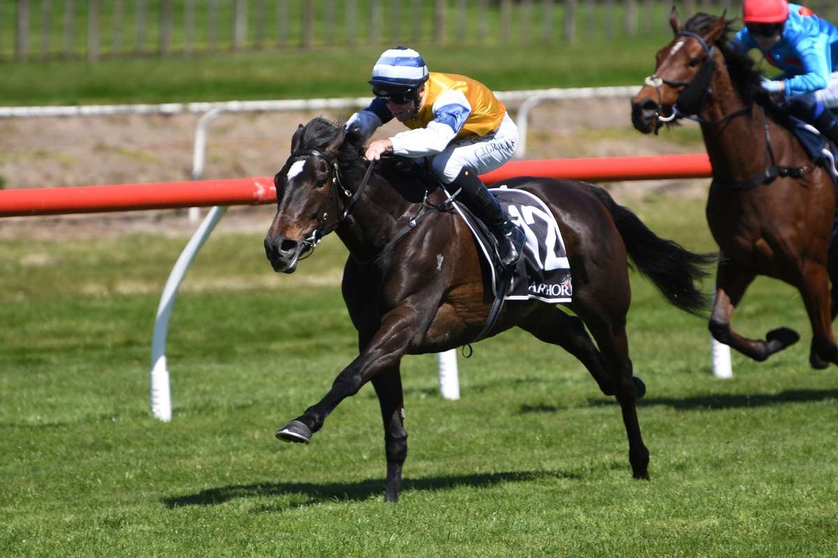 Mary Shan looking to even ledger at Te Rapa