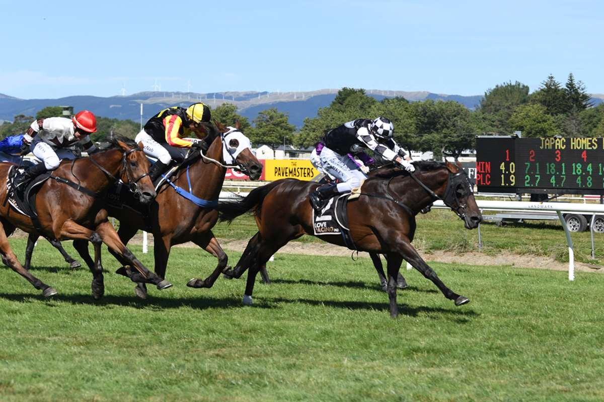 Auckland Cup target for mare