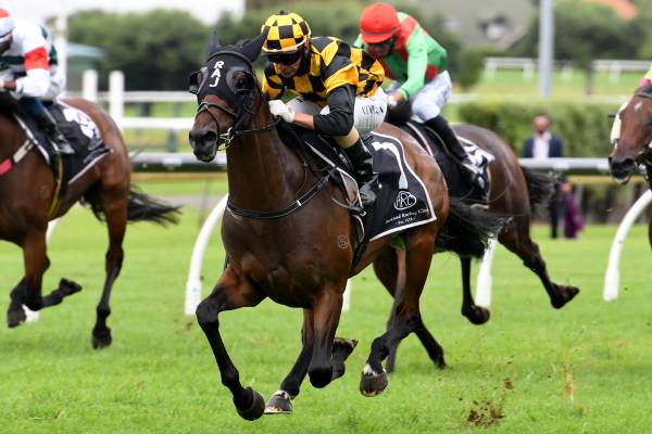 Derby-bound duo firmly in classic contention