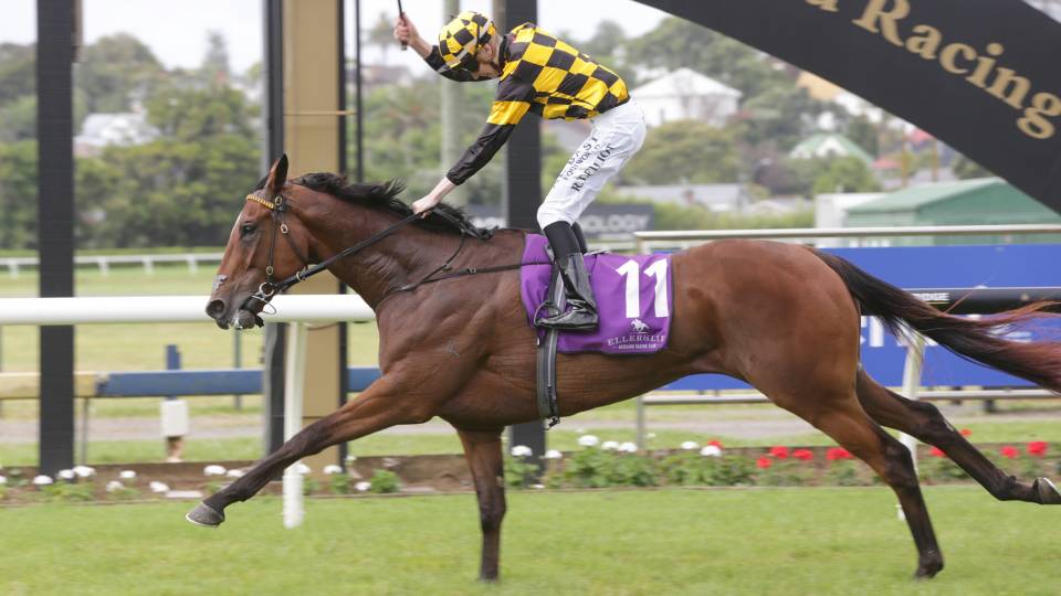 Prince Jabeel winning the 2019 Group 3 City Of Auckland Cup