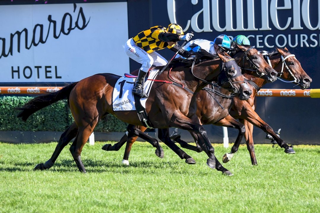 Probabeel’s class wins out at Caulfield