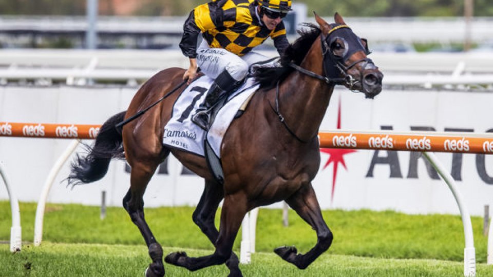 Probabeel winning the 2021 Gr.1 Futurity Stakes