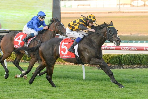 Bright future tipped for filly