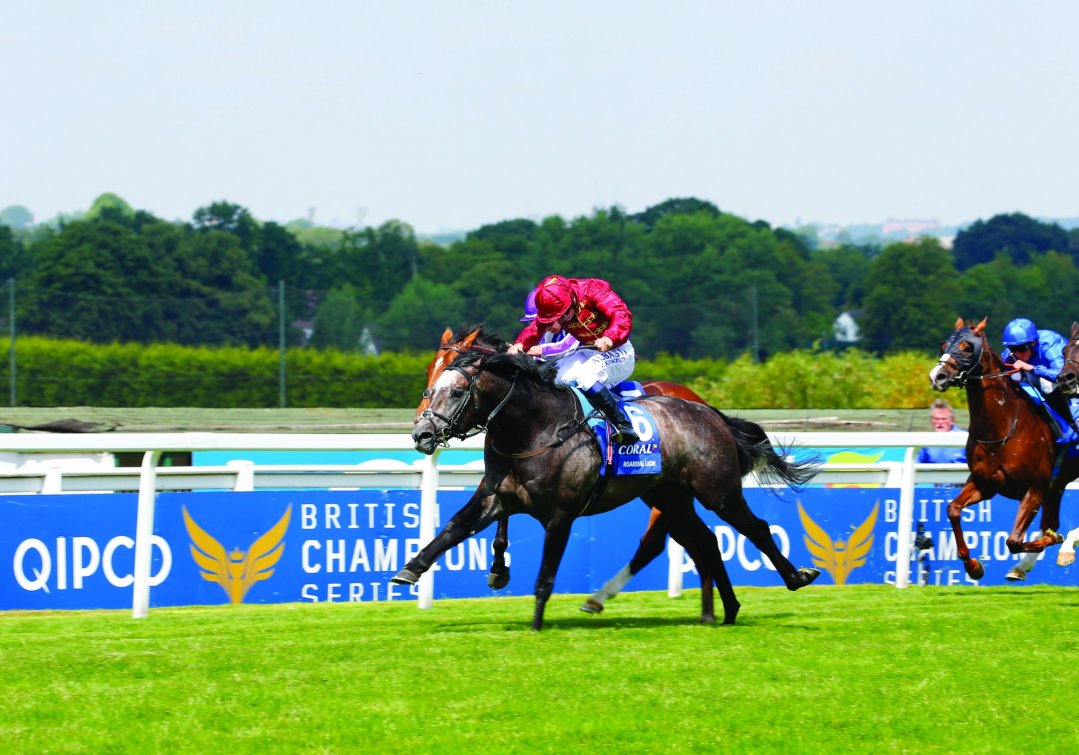 Roaring Lion's Introductory Stud Fee Set at £40,000