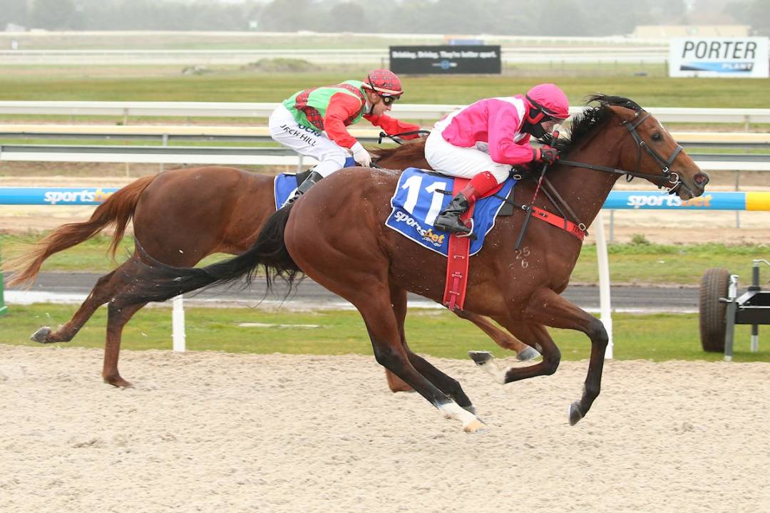 Exciting Burgundy 2YO Filly Delivers on Promise in Australia