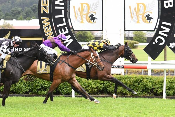 Well-bred mare shines at Trentham