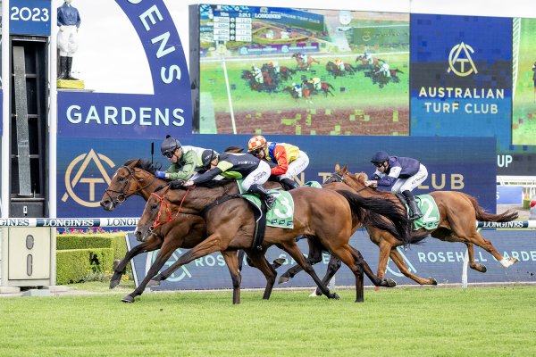 Stockman rounds them up at Rosehill
