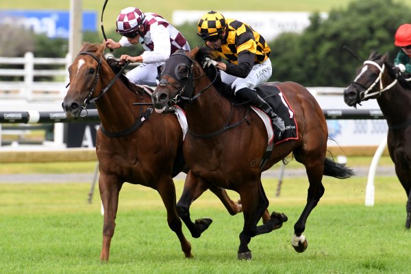 Snitzel colt not to be denied