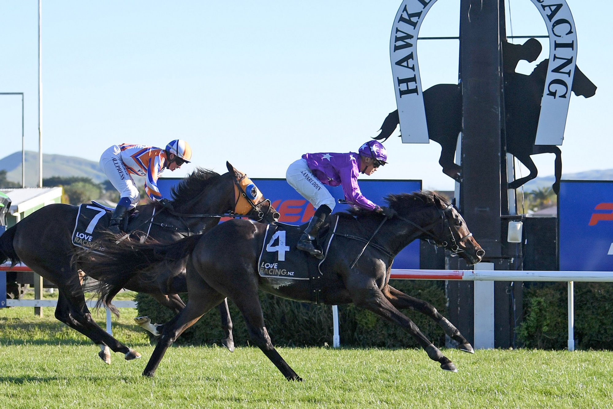 Swords Drawn takes out Hawke’s Bay Cup