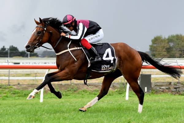 Favouritism rests easily with Tavistock mare