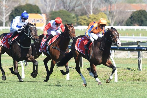 Tokyo Tycoon returns in sizzling style