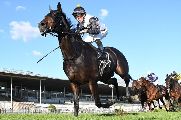 Te Rapa track specialist does it again