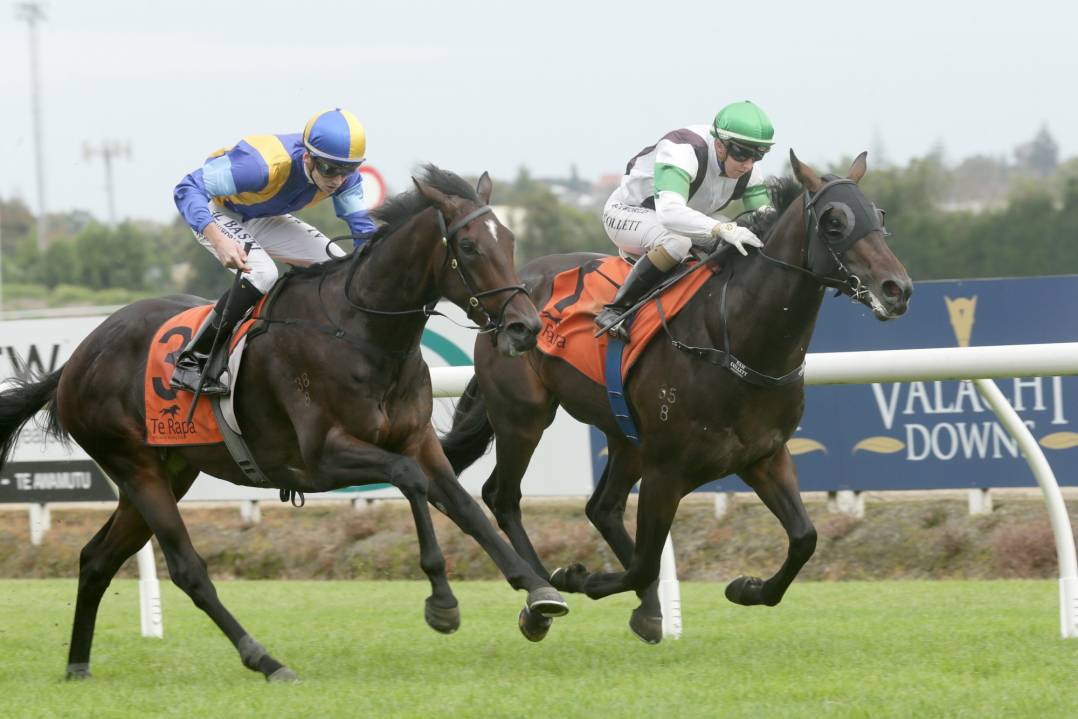 Turn The Ace captures stakes win