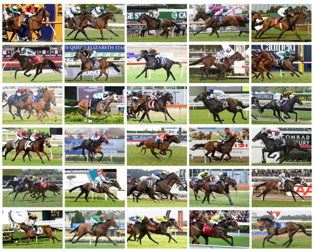 What do these 30 Gr.1 winners have in common?