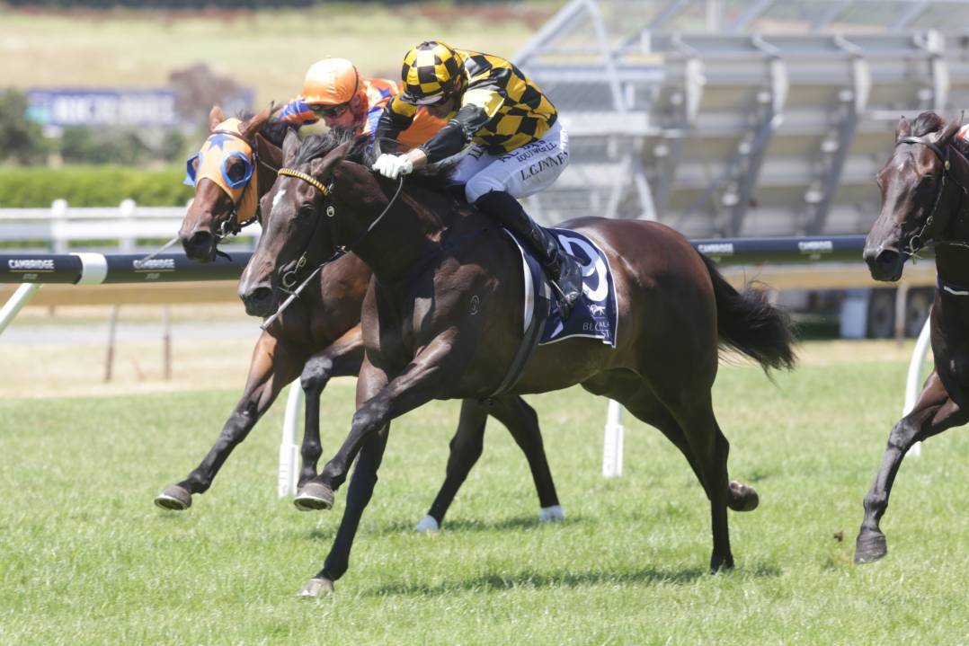 Well-bred and raised filly opens win account