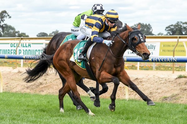 Veloce Bella filly continues hot run