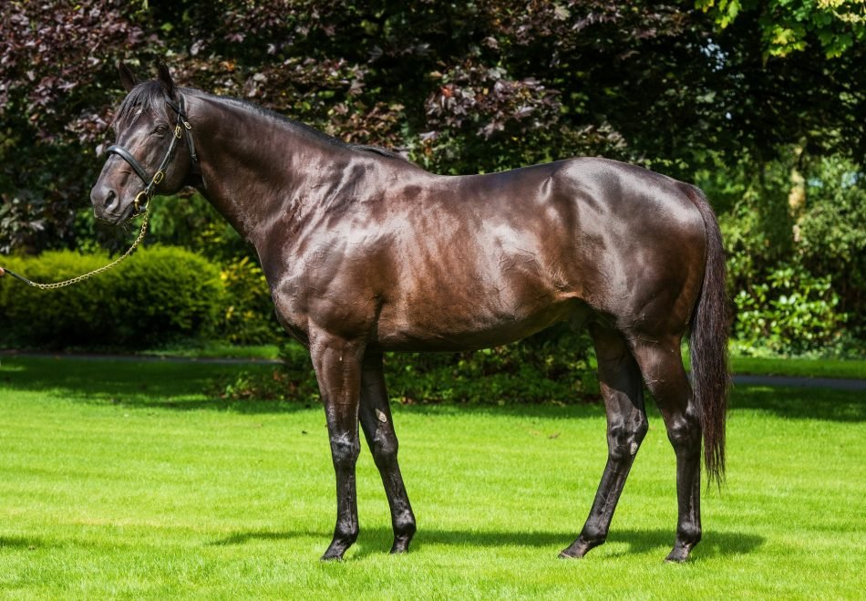 Almanzor’s sire delivers Group 1 sprinting success